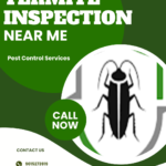 termite-inspection.png