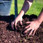 Mulching.jpg